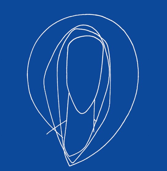 PASTORALES SCOLAIRES MARISTES